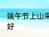 端午节上山采什么 端午节上山采什么好