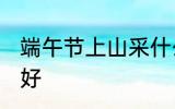 端午节上山采什么 端午节上山采什么好
