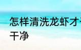 怎样清洗龙虾才干净 怎样清洗龙虾才干净