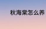 秋海棠怎么养 秋海棠养殖方法