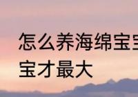 怎么养海绵宝宝才最大 如何养海绵宝宝才最大
