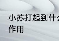 小苏打起到什么作用 小苏打起到哪些作用