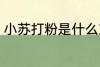 小苏打粉是什么东西 小苏打粉的介绍