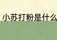 小苏打粉是什么东西 小苏打粉的介绍