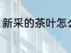 新采的茶叶怎么炒 新采的茶叶如何炒