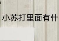 小苏打里面有什么成分 小苏打的简介