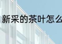 新采的茶叶怎么炒 新采的茶叶如何炒