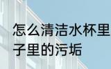 怎么清洁水杯里面的污垢 如何清洗杯子里的污垢