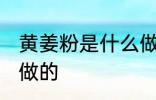 黄姜粉是什么做的 黄姜粉是什么东西做的