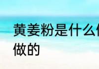 黄姜粉是什么做的 黄姜粉是什么东西做的