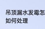 吊顶漏水发霉怎么处理 吊顶漏水发霉如何处理