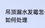 吊顶漏水发霉怎么处理 吊顶漏水发霉如何处理