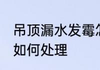 吊顶漏水发霉怎么处理 吊顶漏水发霉如何处理