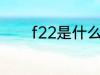 f22是什么材质 f22是啥材质