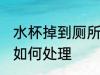 水杯掉到厕所怎么处理 水杯掉到厕所如何处理
