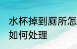 水杯掉到厕所怎么处理 水杯掉到厕所如何处理