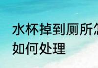 水杯掉到厕所怎么处理 水杯掉到厕所如何处理