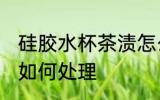 硅胶水杯茶渍怎么处理 硅胶水杯茶渍如何处理