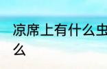 凉席上有什么虫子 凉席上的虫子是什么