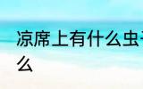 凉席上有什么虫子 凉席上的虫子是什么