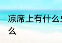 凉席上有什么虫子 凉席上的虫子是什么