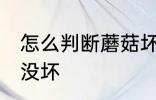 怎么判断蘑菇坏没坏 如何判断蘑菇坏没坏