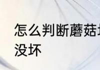 怎么判断蘑菇坏没坏 如何判断蘑菇坏没坏