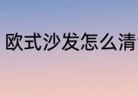 欧式沙发怎么清洗 欧式沙发如何清洗