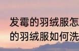 发霉的羽绒服怎么洗能洗掉霉点 发霉的羽绒服如何洗能洗掉霉点