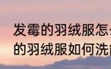 发霉的羽绒服怎么洗能洗掉霉点 发霉的羽绒服如何洗能洗掉霉点