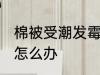 棉被受潮发霉怎么处理 棉被受潮发霉怎么办