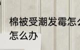 棉被受潮发霉怎么处理 棉被受潮发霉怎么办