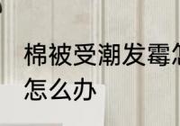 棉被受潮发霉怎么处理 棉被受潮发霉怎么办
