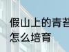 假山上的青苔如何培育 假山上的青苔怎么培育