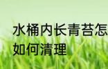 水桶内长青苔怎么清理 水桶内长青苔如何清理