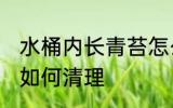 水桶内长青苔怎么清理 水桶内长青苔如何清理