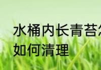 水桶内长青苔怎么清理 水桶内长青苔如何清理
