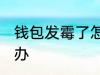 钱包发霉了怎么处理 钱包发霉了怎么办