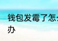 钱包发霉了怎么处理 钱包发霉了怎么办