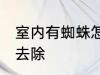 室内有蜘蛛怎么去除 室内有蜘蛛如何去除
