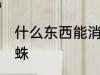 什么东西能消灭蜘蛛 啥东西能消灭蜘蛛