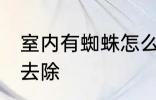 室内有蜘蛛怎么去除 室内有蜘蛛如何去除