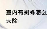 室内有蜘蛛怎么去除 室内有蜘蛛如何去除