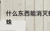 什么东西能消灭蜘蛛 啥东西能消灭蜘蛛