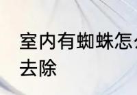 室内有蜘蛛怎么去除 室内有蜘蛛如何去除