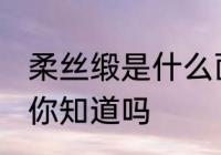 柔丝缎是什么面料 柔丝缎是什么面料你知道吗