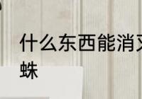 什么东西能消灭蜘蛛 啥东西能消灭蜘蛛