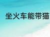 坐火车能带猫吗 坐火车可以带猫吗