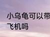 小乌龟可以带上飞机吗 小乌龟能带上飞机吗