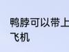 鸭脖可以带上飞机吗 鸭脖能不能带上飞机